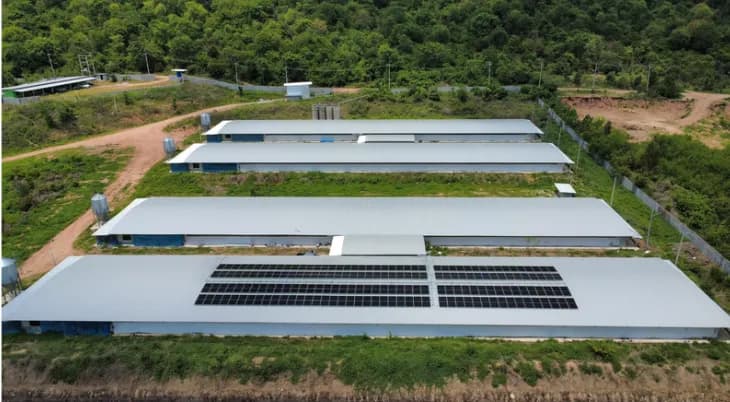 SLP Farm Co., Ltd.